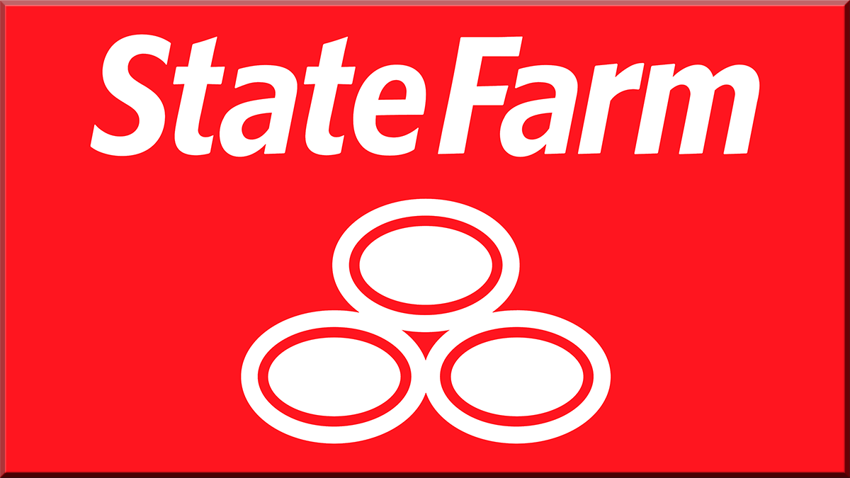 State Farm: Stop Indoctrinating Children - Point of View - Point of View