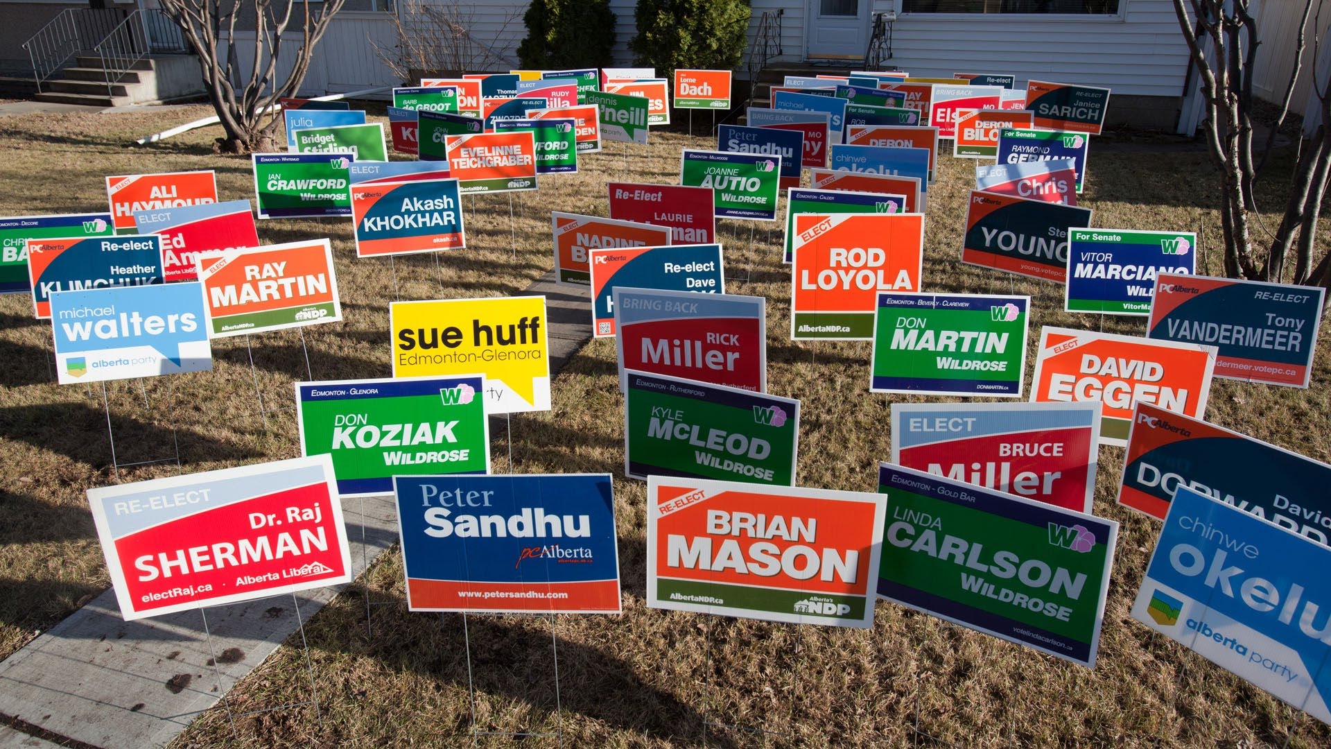 lots of political yard signs