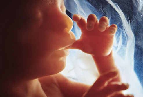 When is a Fetus a Human Being? - Point of View - Point of View
