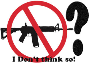 ban assault rifles?