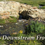 American Basin - stream