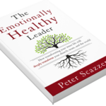The Emotionally Healthy Leader Book