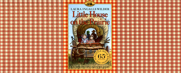 little house cover - banner