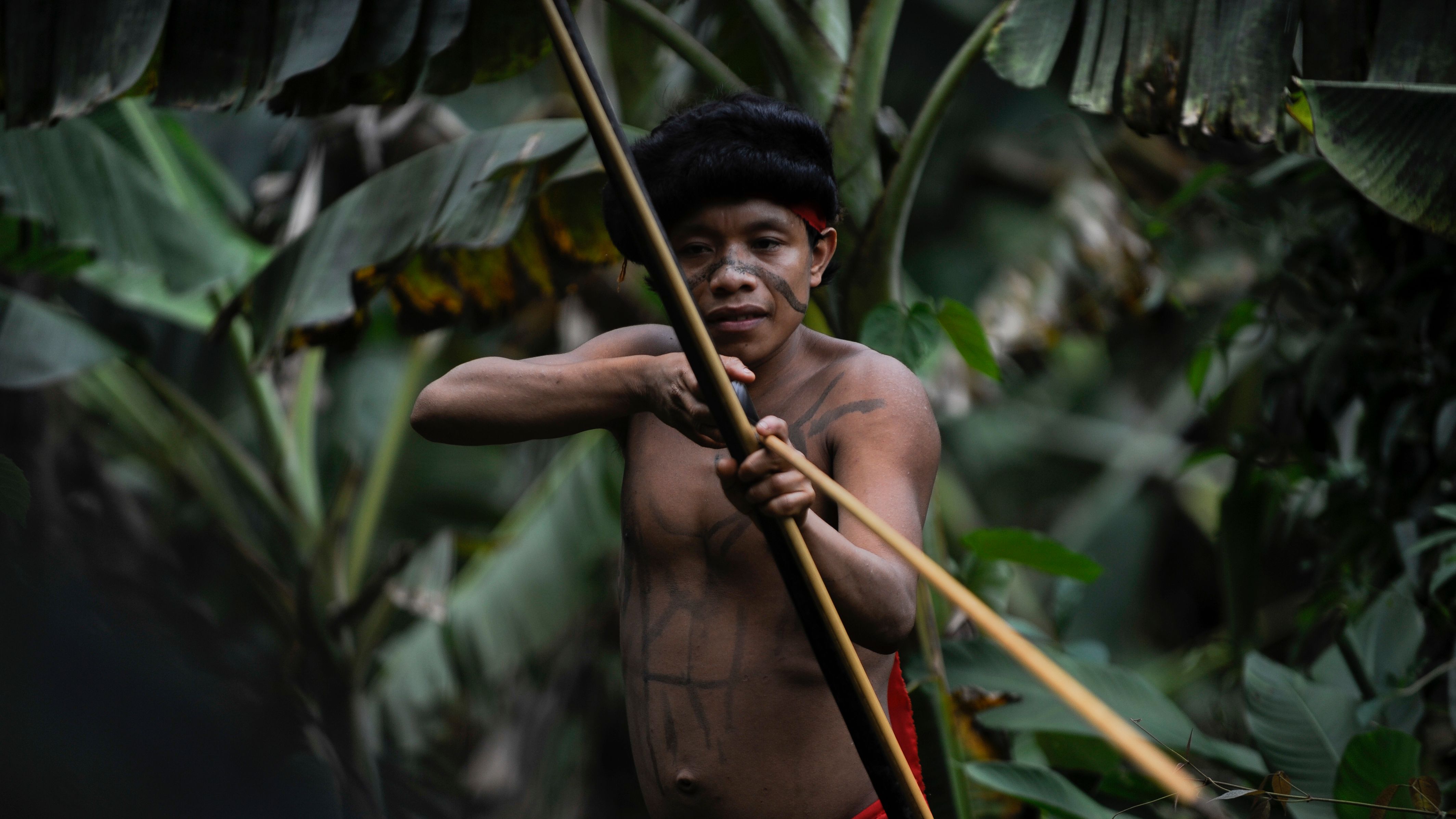 Yanomami tribesman