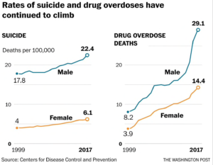 Graph - suicide and drug overdoses