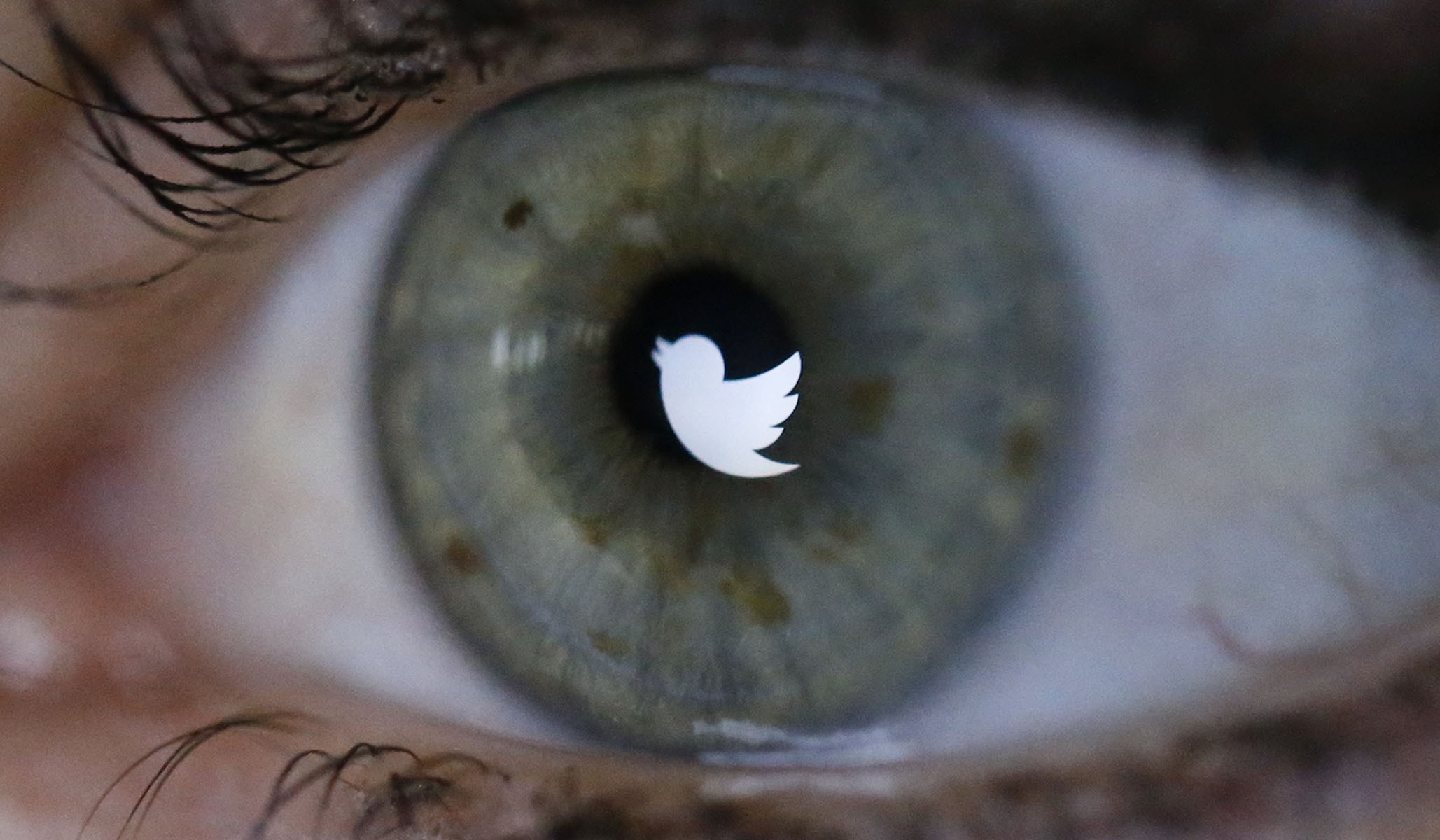A picture shows Twitter logo reflected in an eye