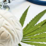 Marijuana and brain - adobe