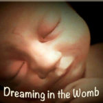 dreaming in the womb - imaging