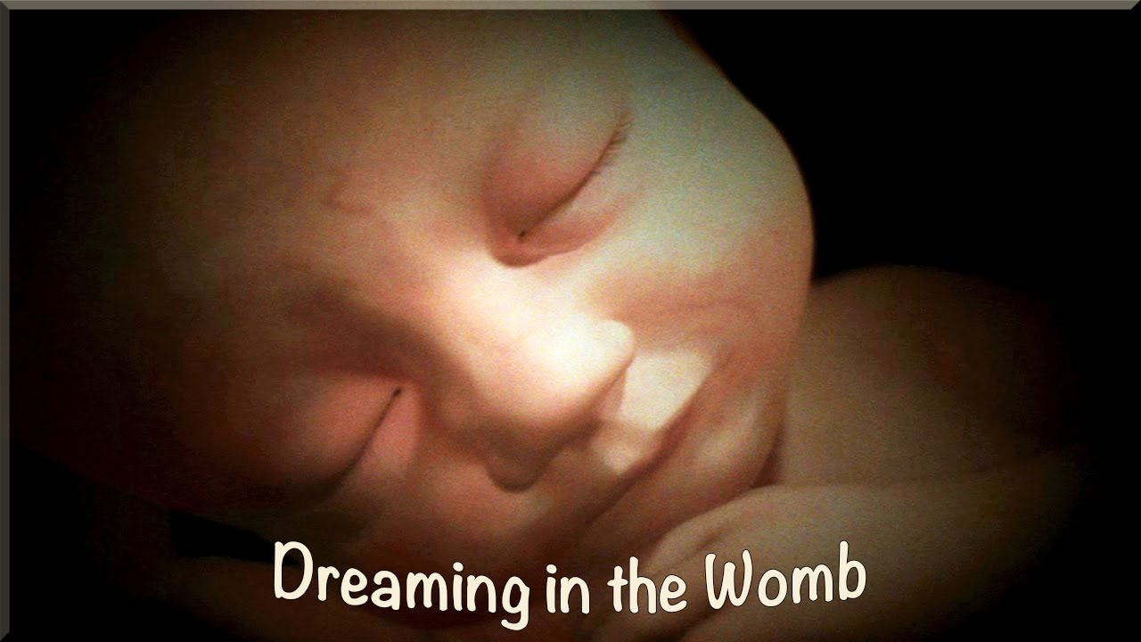 dreaming in the womb - imaging