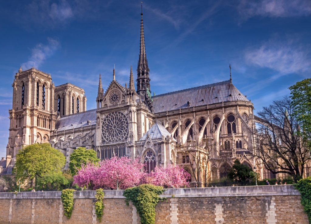 Notre Dame Point Of View Point Of View notre-dame-point-of-view-point-of-view