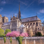 Notre Dame in Spring