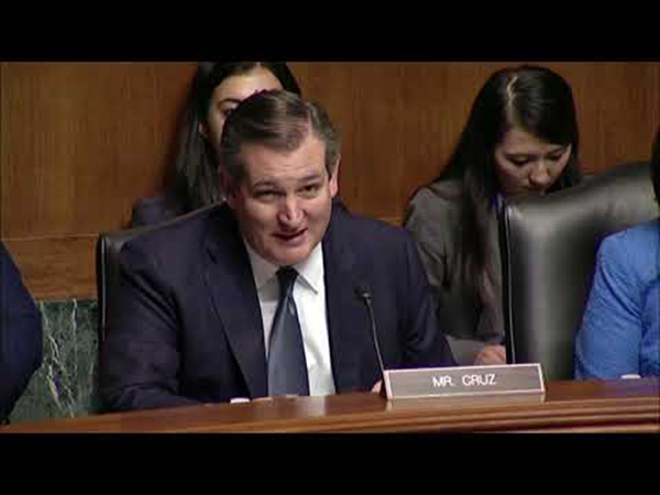 Ted Cruz subcommittee constitution