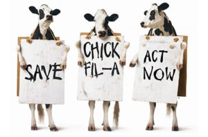 CfA cows Save Chick-Fil-A
