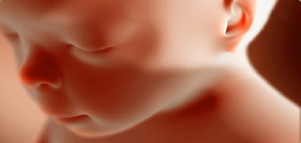 unborn_baby