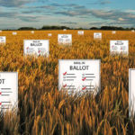 Ballot-Harvesting