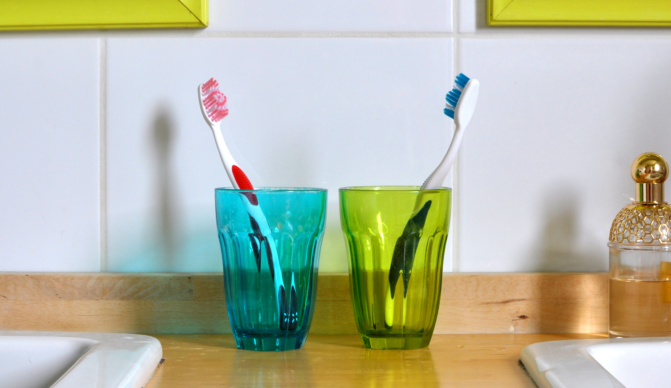 Cohabitation-toothbrushes