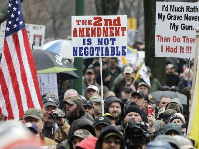 2nd-Amendment gun -Rally
