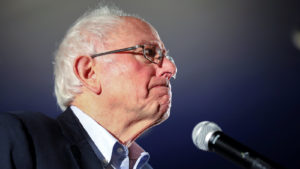 Bernie Sanders profile