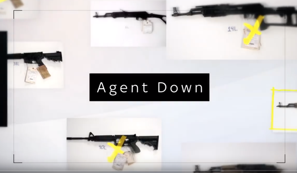 Agent Down Screen Shot