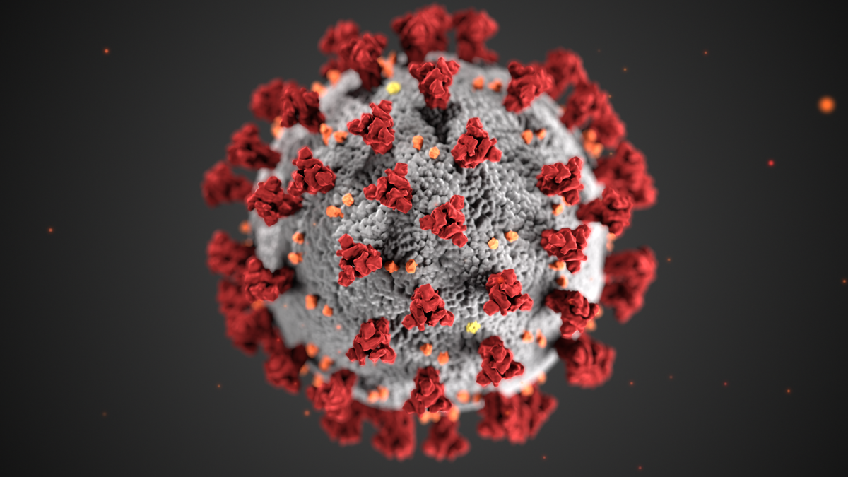 detailed image of COVID-19 virus
