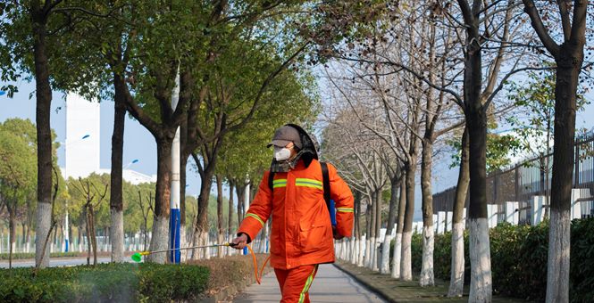 City Worker sprays trees in Park wearing mask