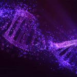 Molecular 'broken' DNA