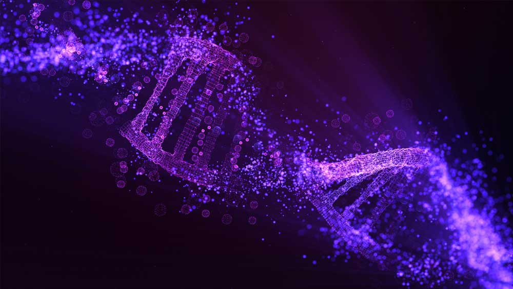 Molecular 'broken' DNA