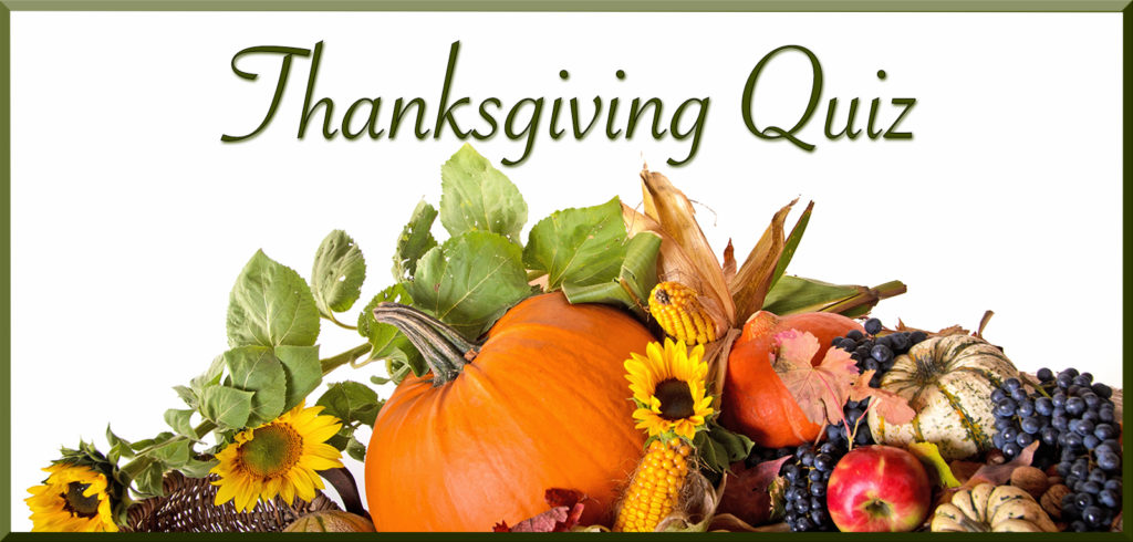 Thanksgiving Quiz - Point of View - Point of View