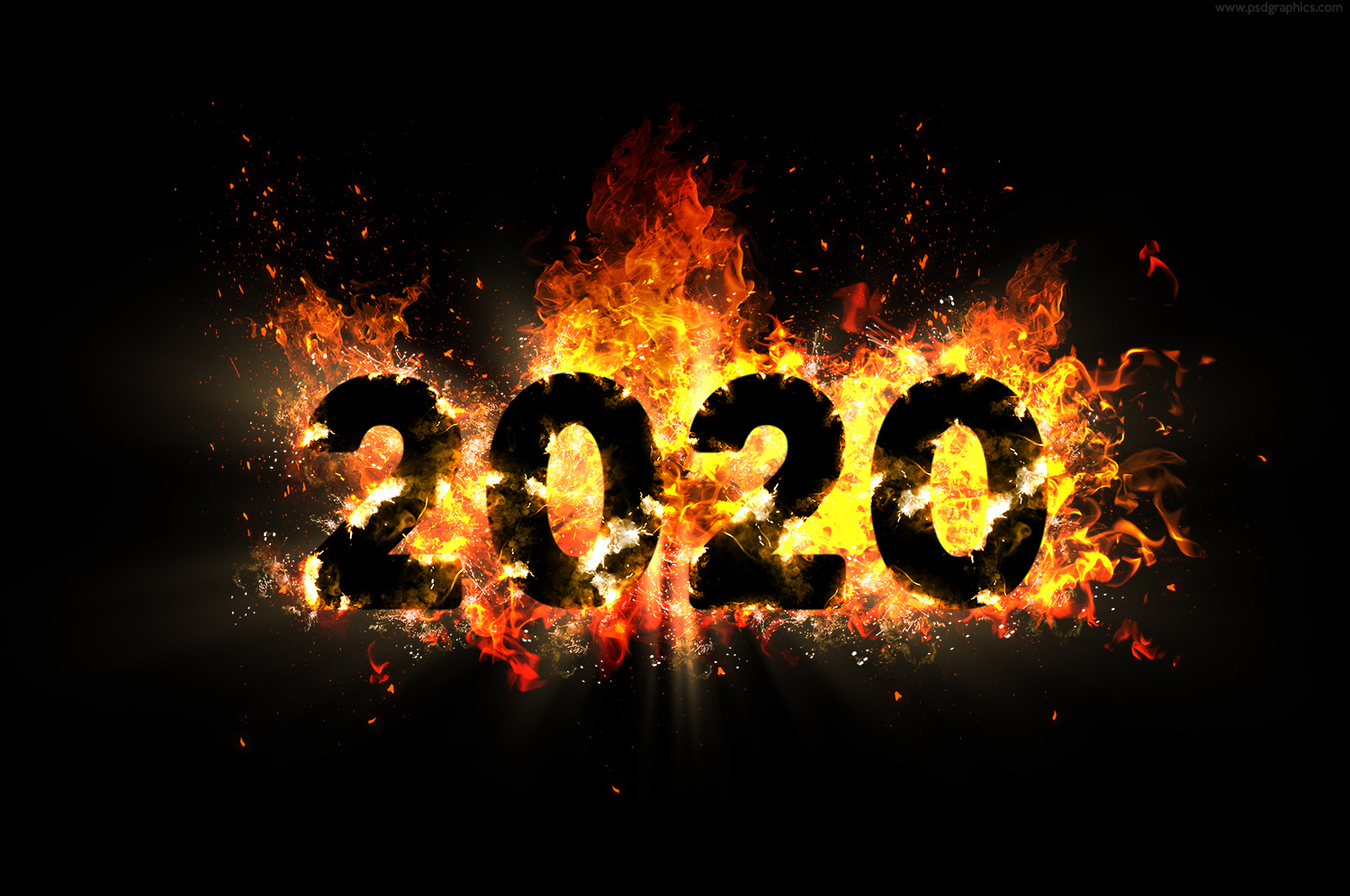 2020 year in-flames
