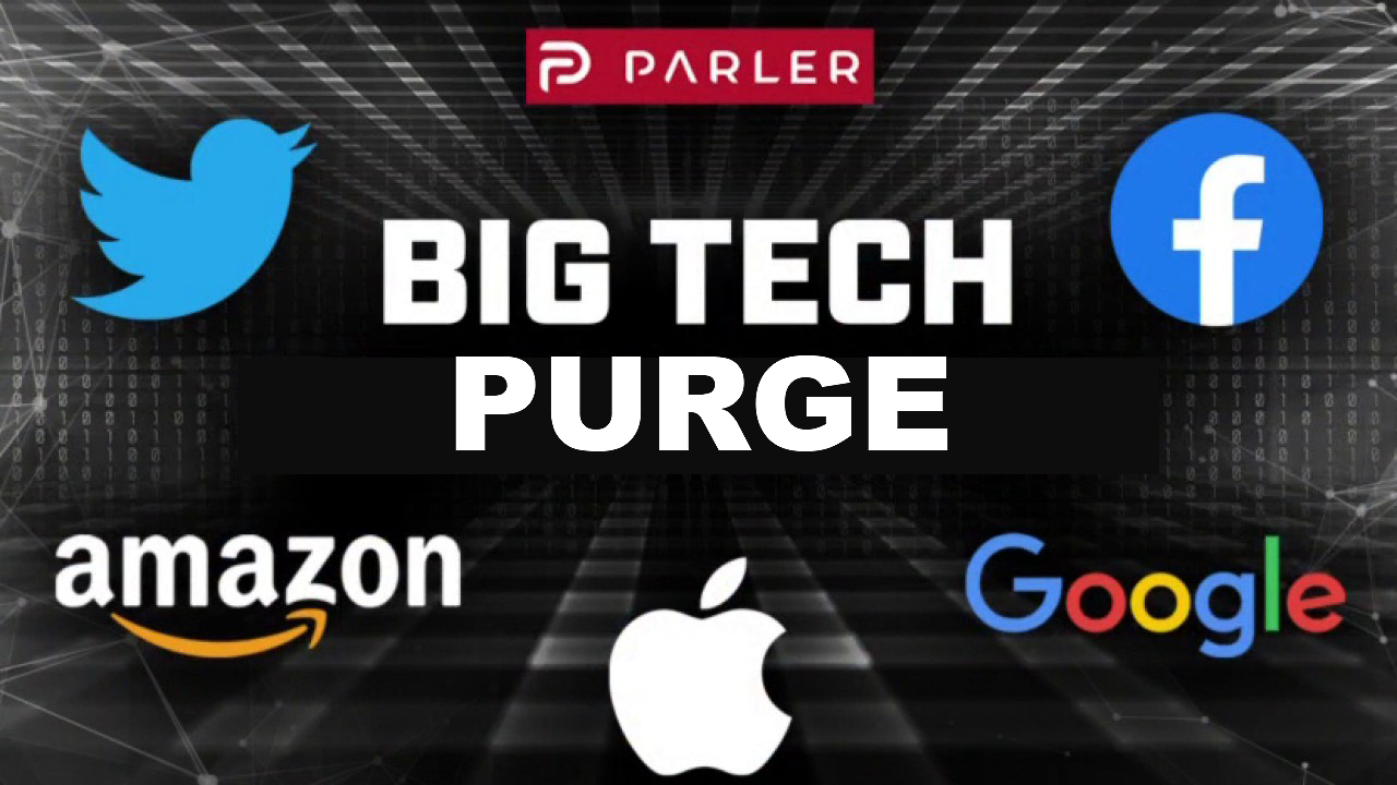 Big Tech Purge