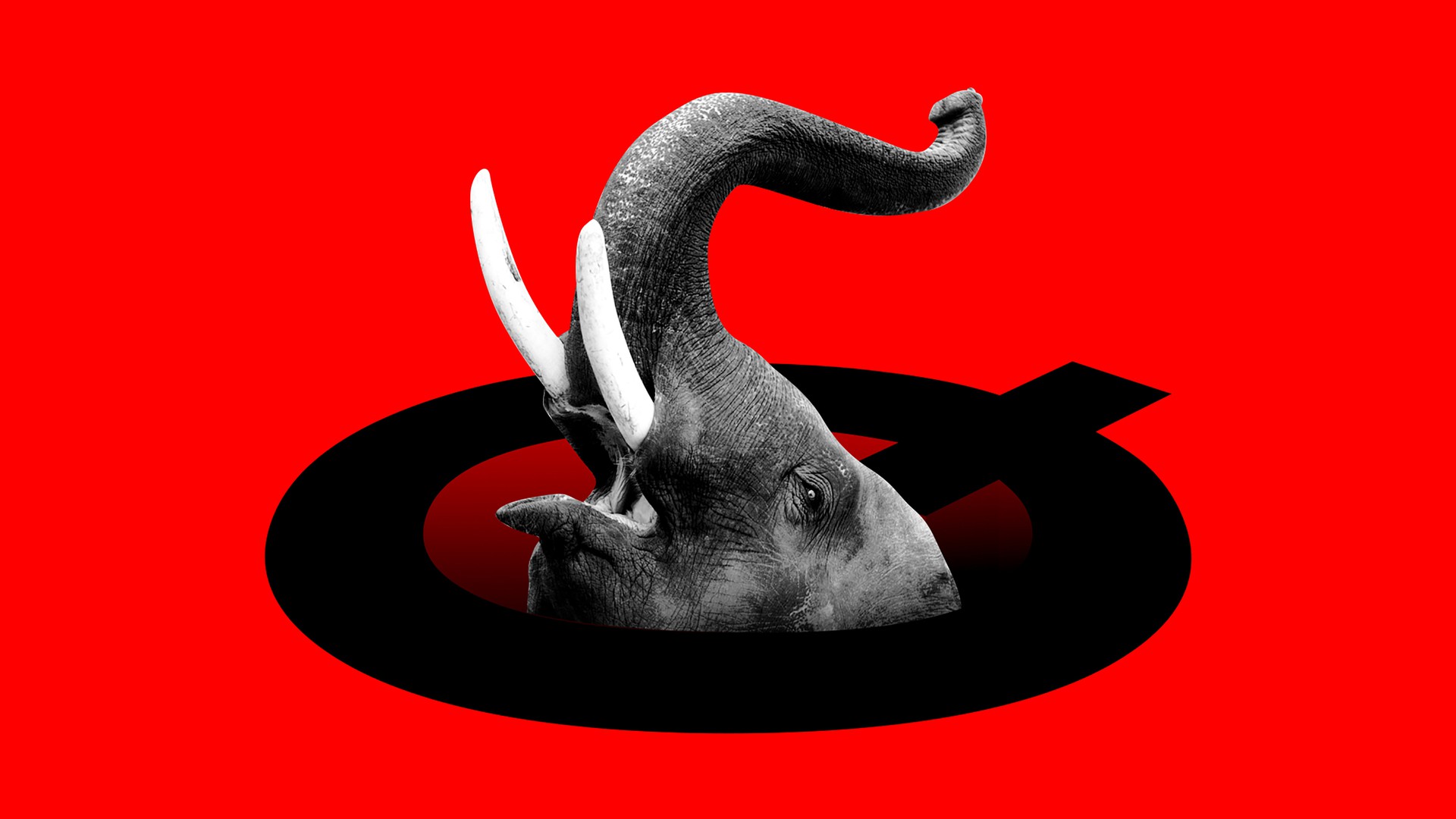 Republican Elephant drowning in Q