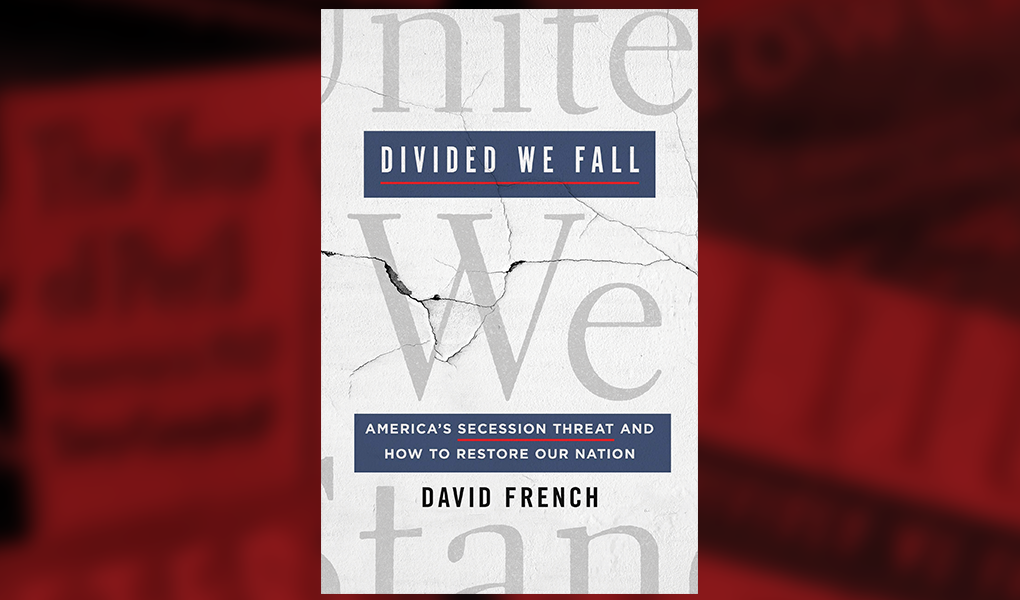 david french's book cover - divided we fall