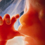 Unborn baby sucks thumb smaller