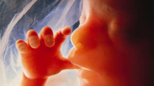 Unborn baby sucks thumb smaller