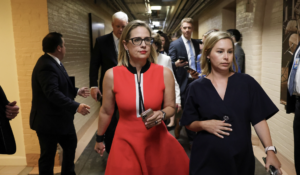 Senator Kyrsten Sinema - bathroom