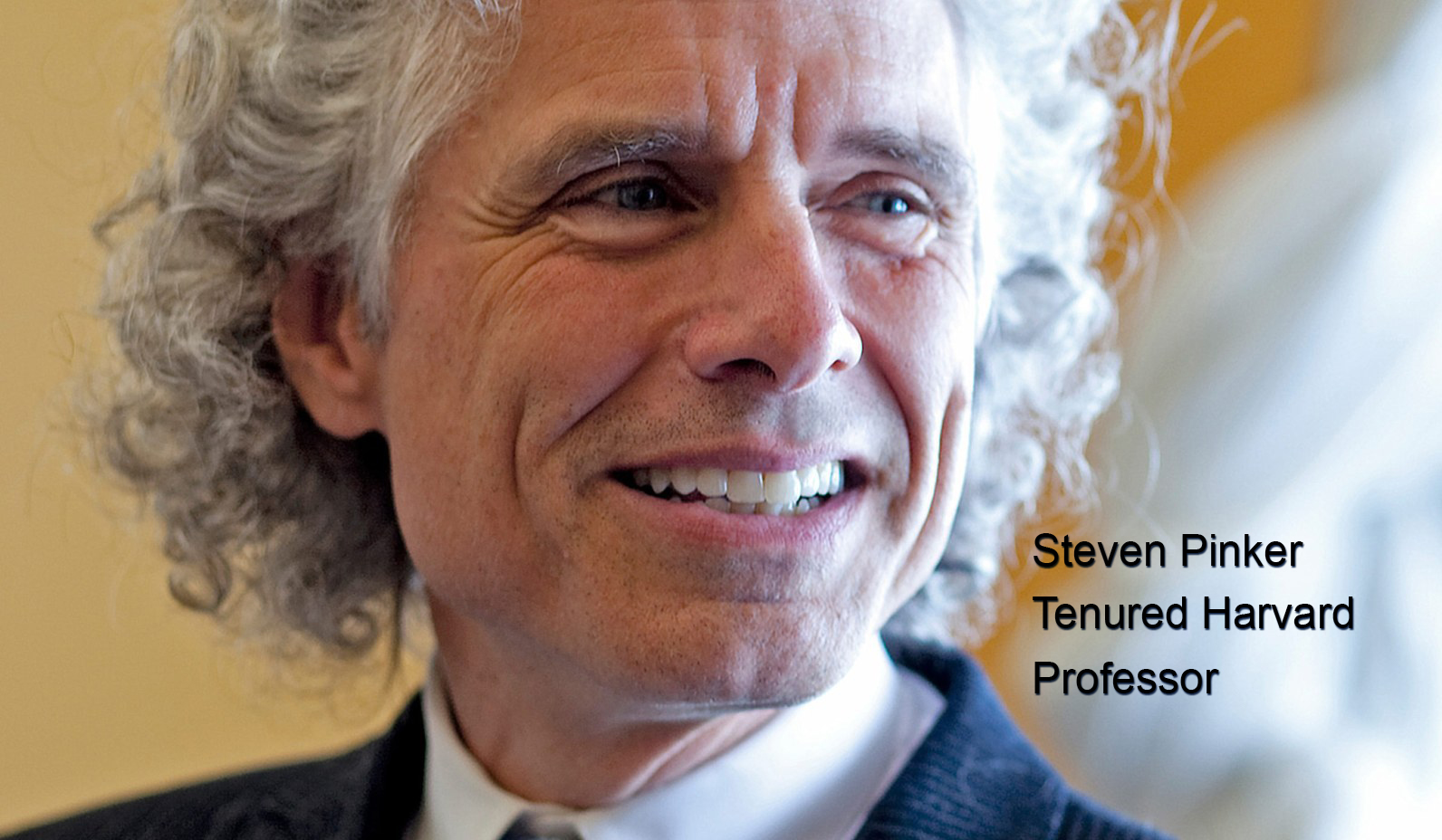 Steven-Pinker Tenured Harvard Professor
