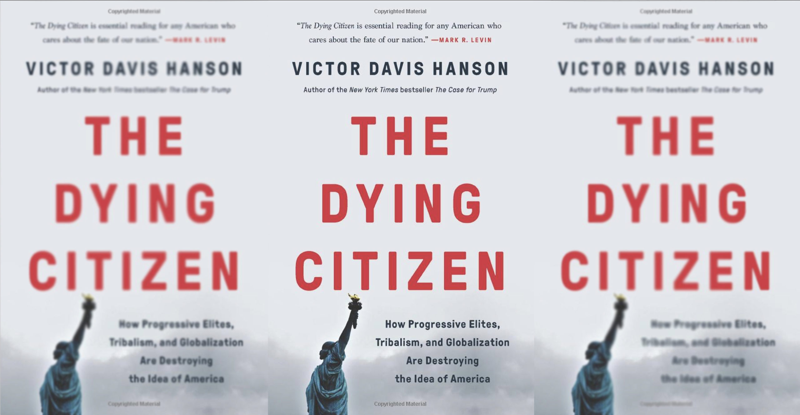 The Dying Citizen - Book Covers