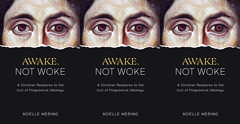 Awake, Not Woke banner