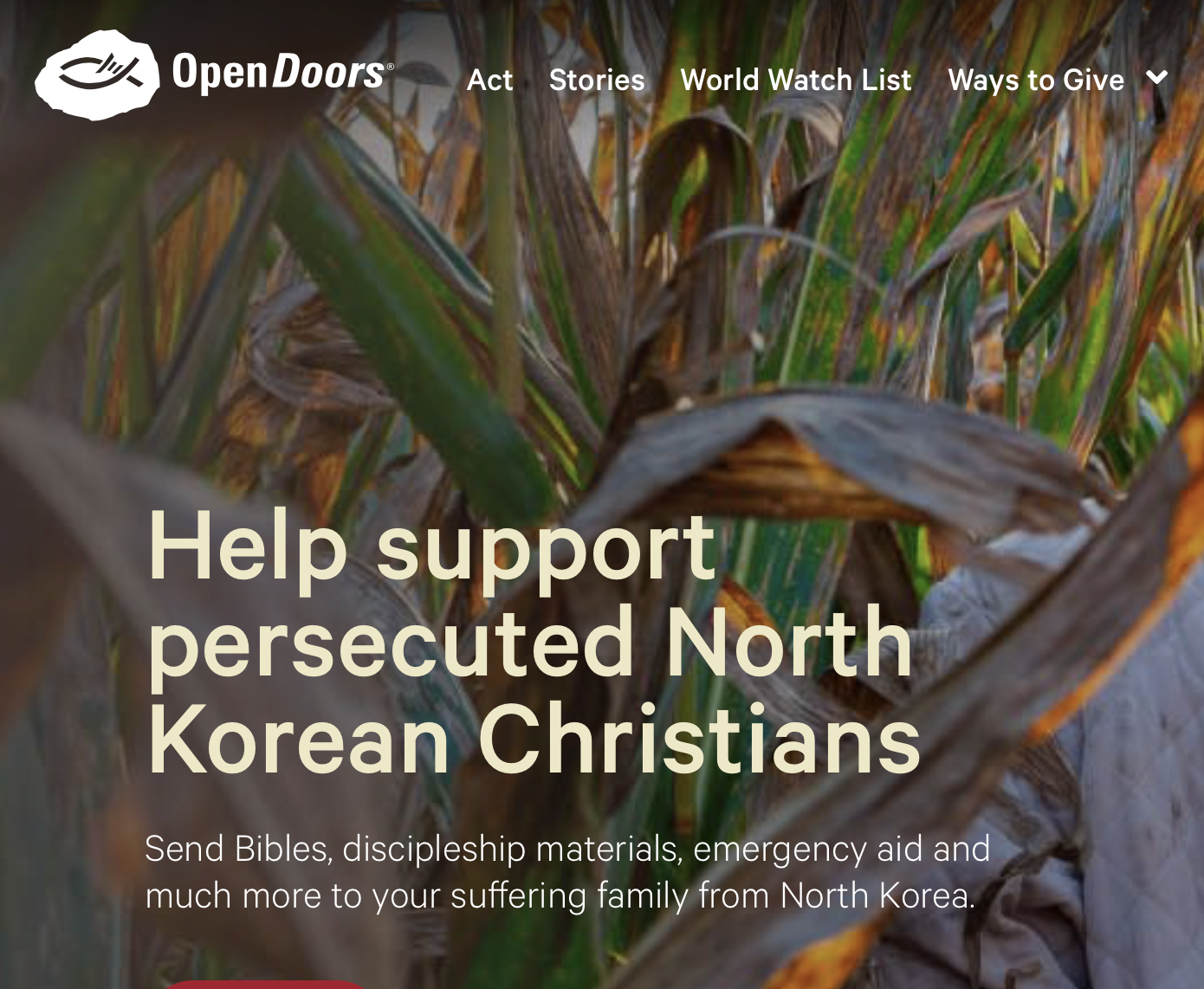 Support Persecuted Christians