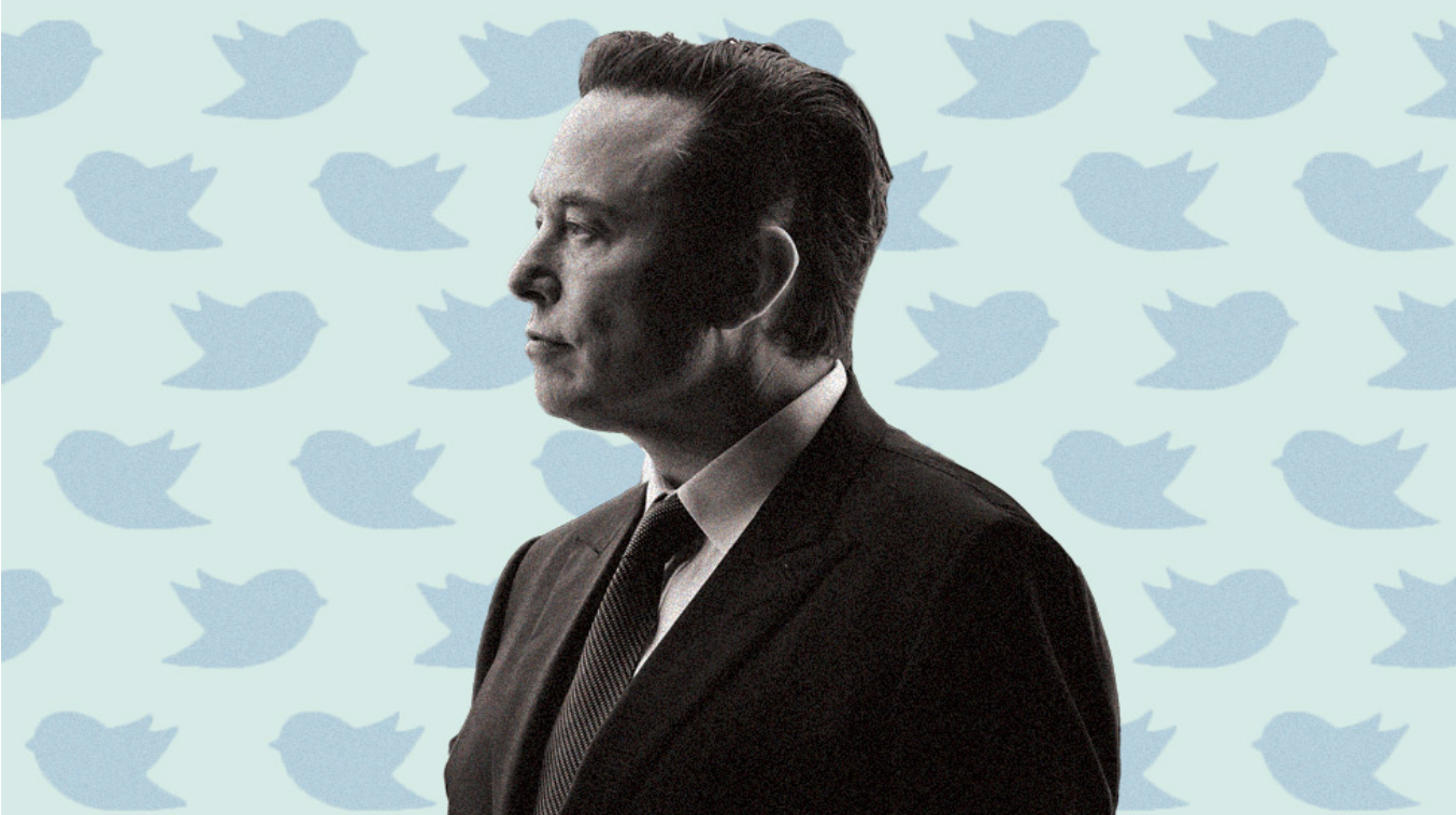 Elon Musk B&W profile - twitter birds