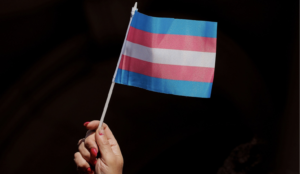 Female hand waving little Trans flag
