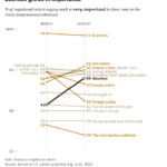 Midterm Voting issues - Pew Research