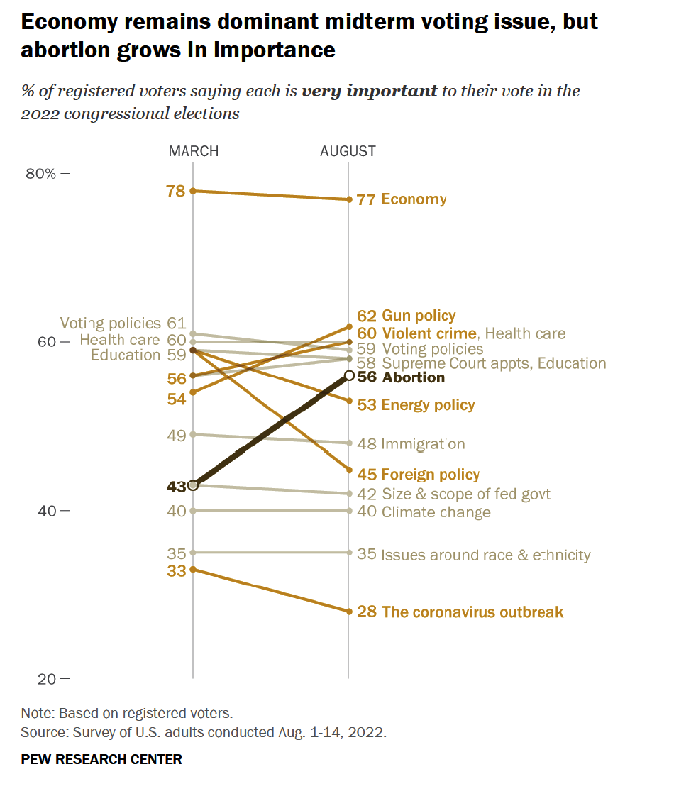 Midterm Voting issues - Pew Research