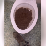 filthy toilet in military barracks