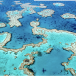 Australia's Great Barrier Reef near Airlie Beach, Queensland