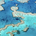 Australia's Great Barrier Reef near Airlie Beach, Queensland