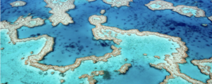 Australia's Great Barrier Reef near Airlie Beach, Queensland