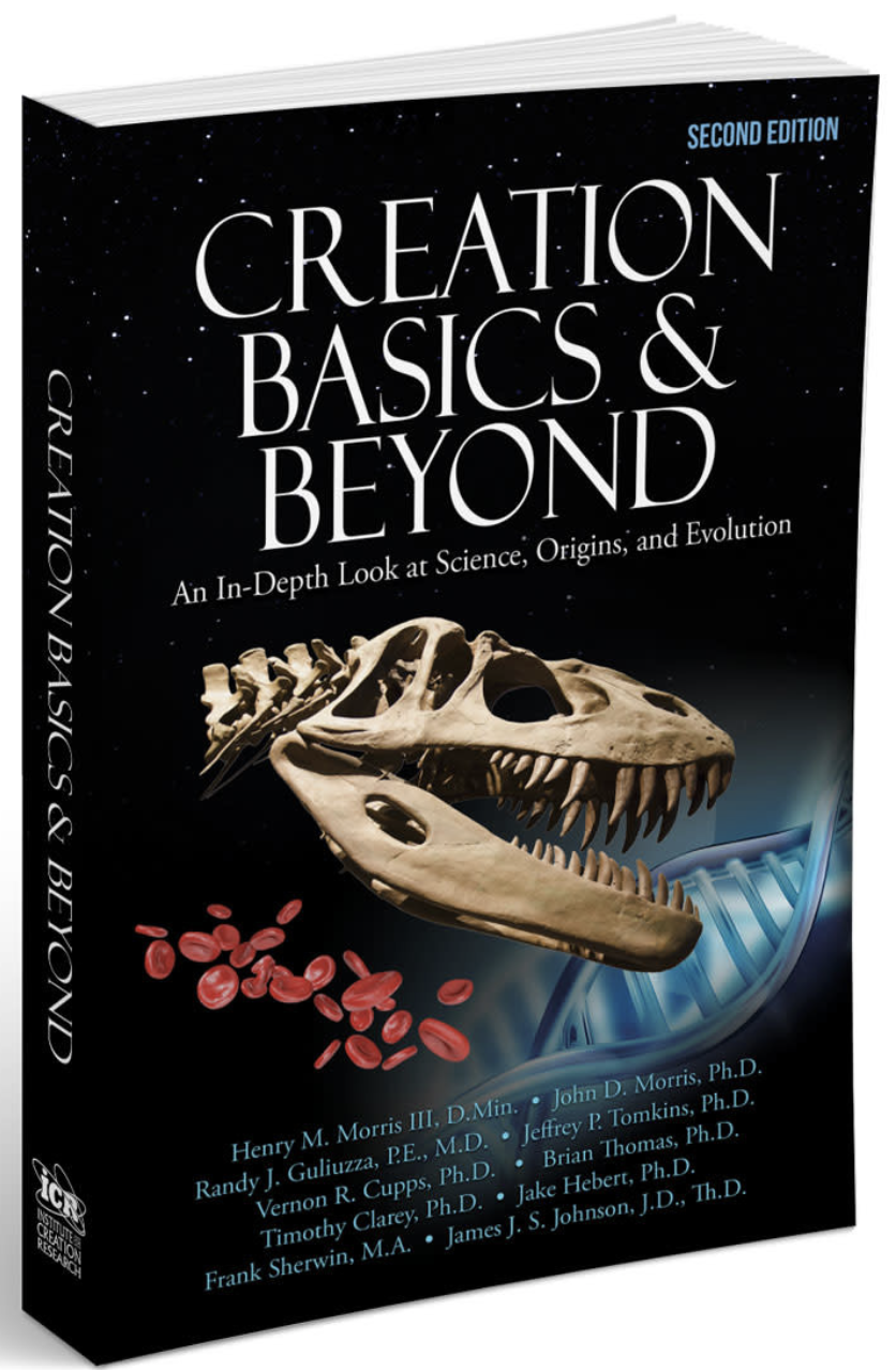 Creation Basics & Beyond, 2nd Ed. - Book