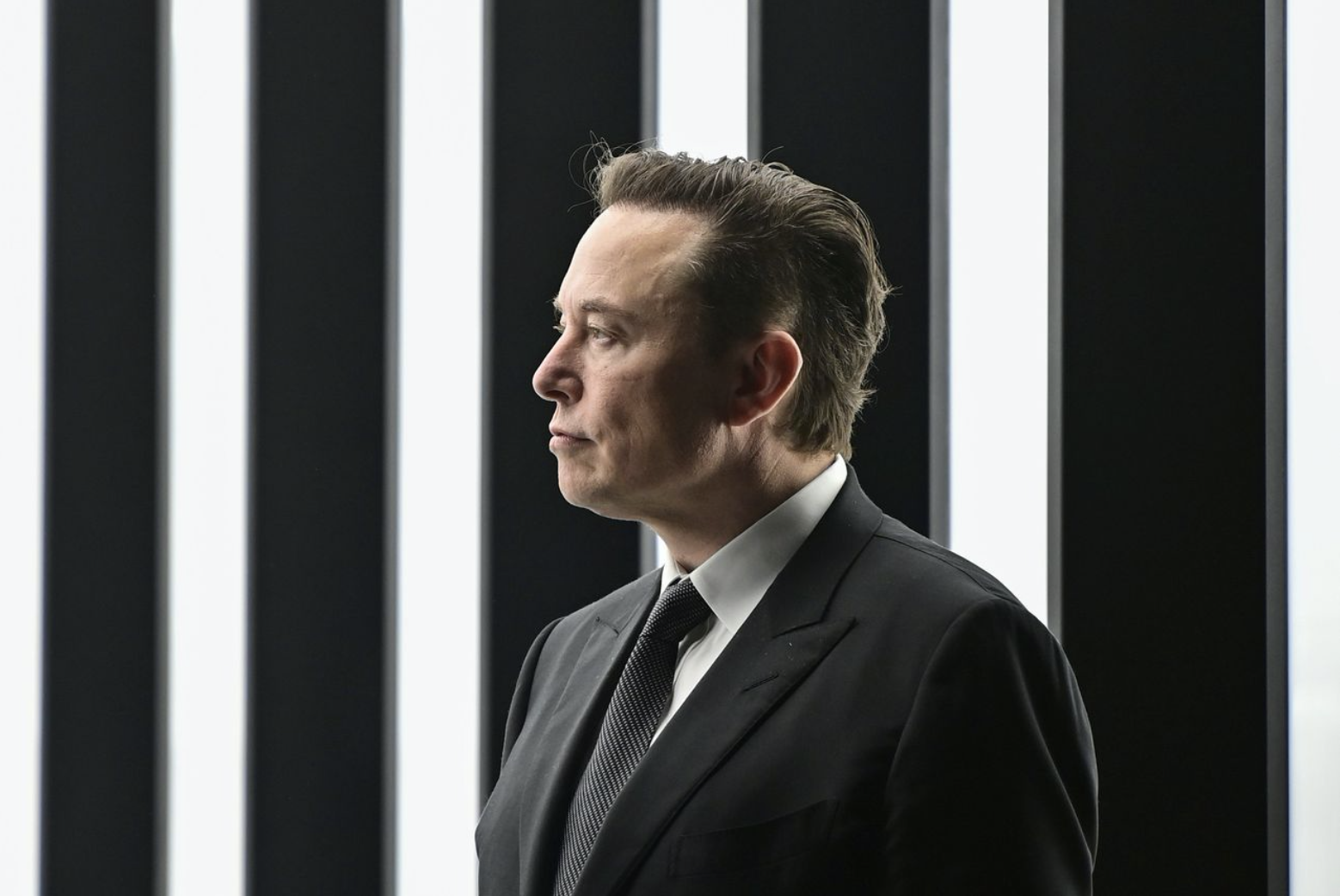 Elon Musk B&W lines