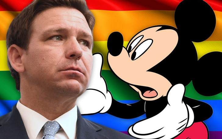 Desantis - Mickey - Gay flag